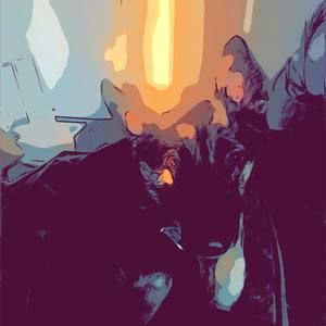 Meet your Posher, Paul